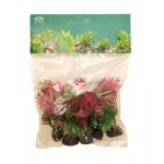 ΔΙΑΚΟΣΜΗΤΙΚΟ ΦΥΤΟ ΕΝΥΔΡΕΙΟΥ 5ΤΜΧ ΣΕ ΔΙΑΦΟΡΑ ΣΧΕΔΙΑ